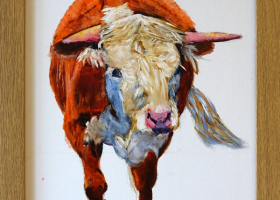 "Hereford Bullock 1"Oil 30cm x 40cmReady to hang £195