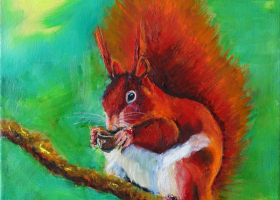 "Red Squirrel"Oil 30cm x 30cmReady to hang£80