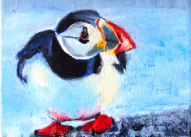 "Puffin"20cm x 20cm OilReady to hang£55