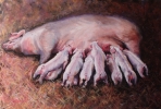 Reclining Pig with Piglets