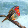 "Robin in the Snow"Oil 20cm x 20cmReady to hang£55